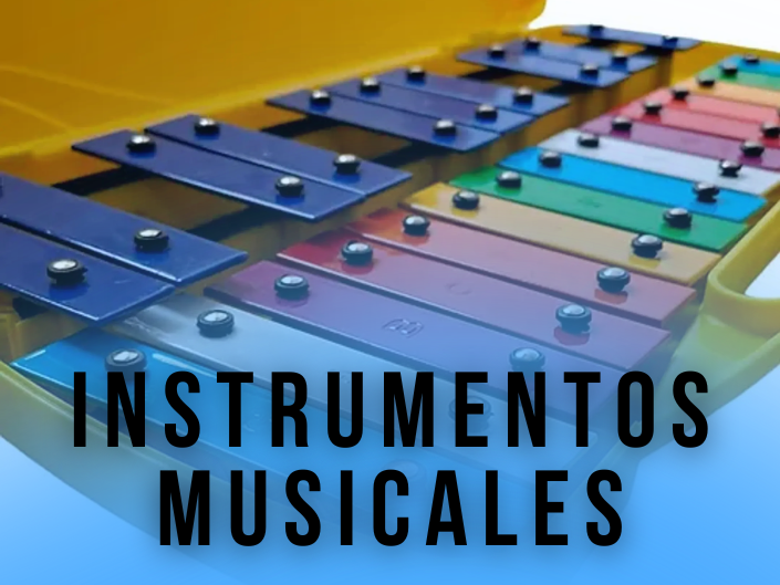 INSTRUMENTOS MUSICALES