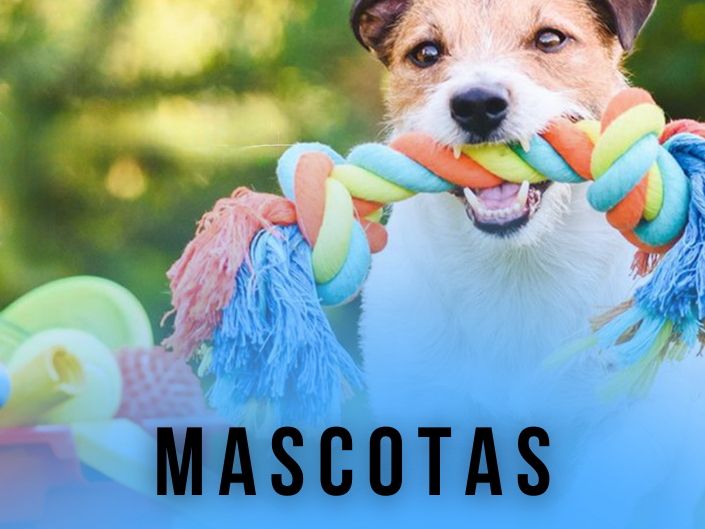 MASCOTAS