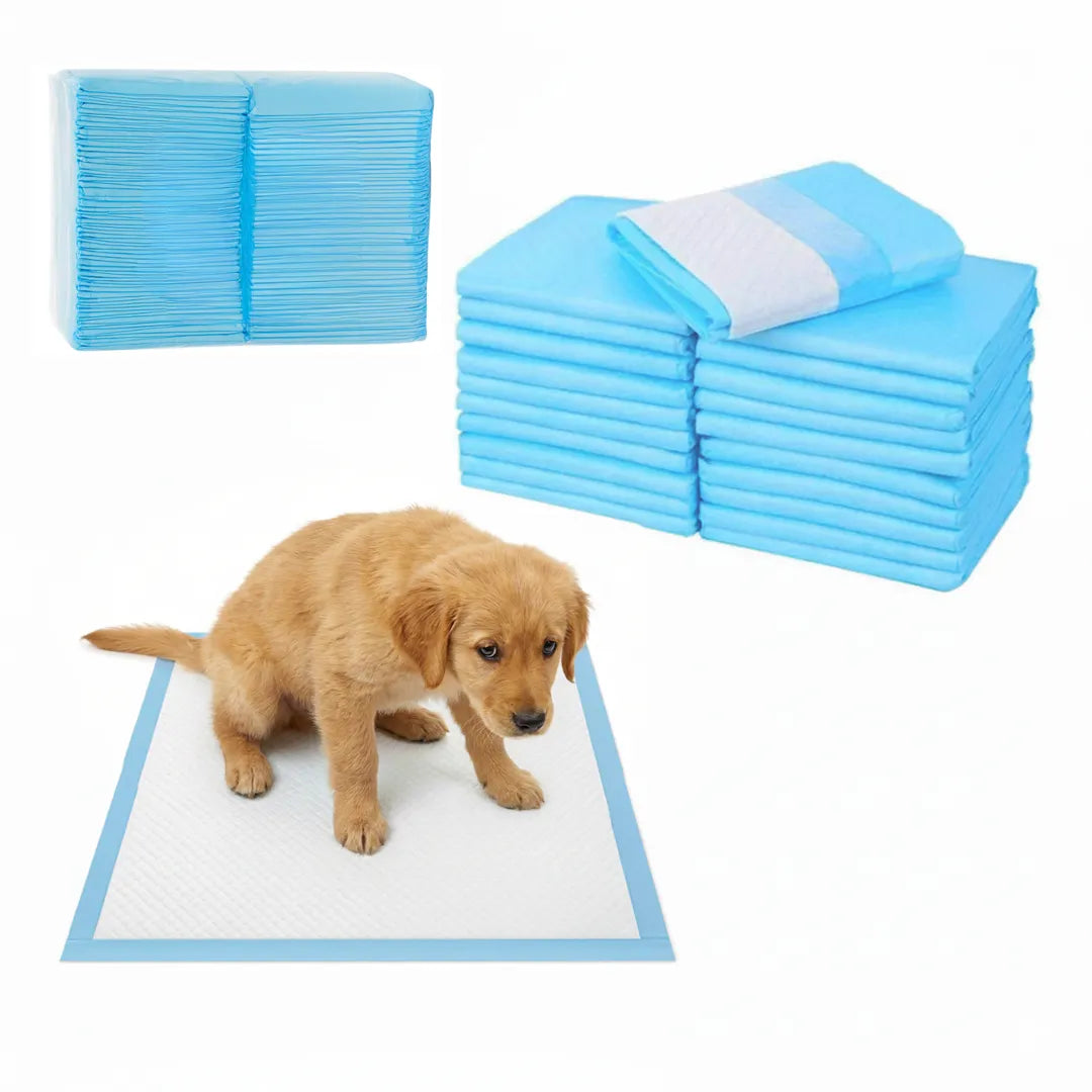 PAÑALES SMART CARE BLANCA 45x33CM X 20 UNIDADES