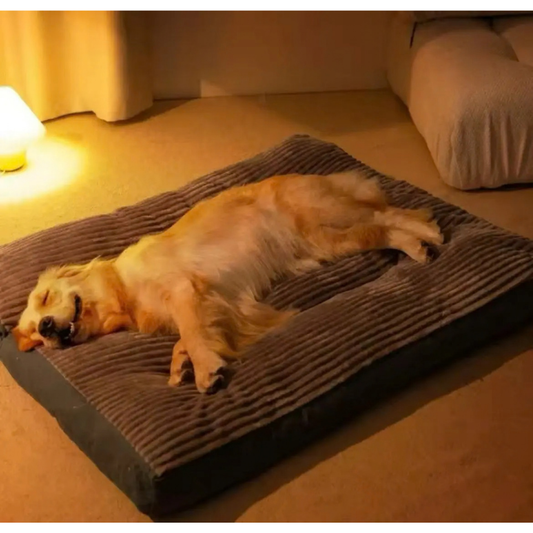 CAMA SOFÁ DE LUJO XL PARA MASCOTAS PERROS GRANDES
