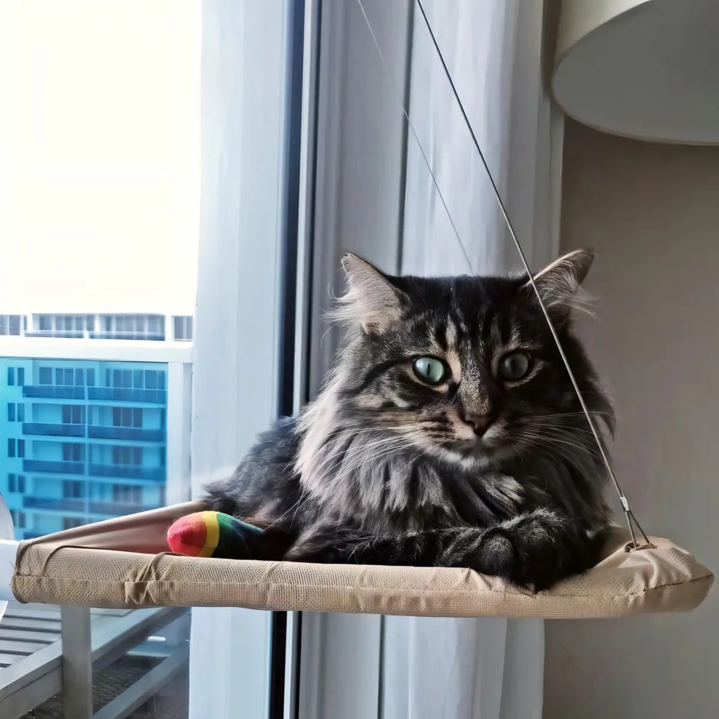 HAMACA COLGANTE PARA GATOS VENTANA BEIGE PREMIUM