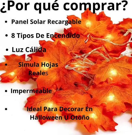 LUCES LED SOLARES CÁLIDAS 30 LED 10M IP65 - GUIRNALDA EXTERIOR PARA JARDÍN