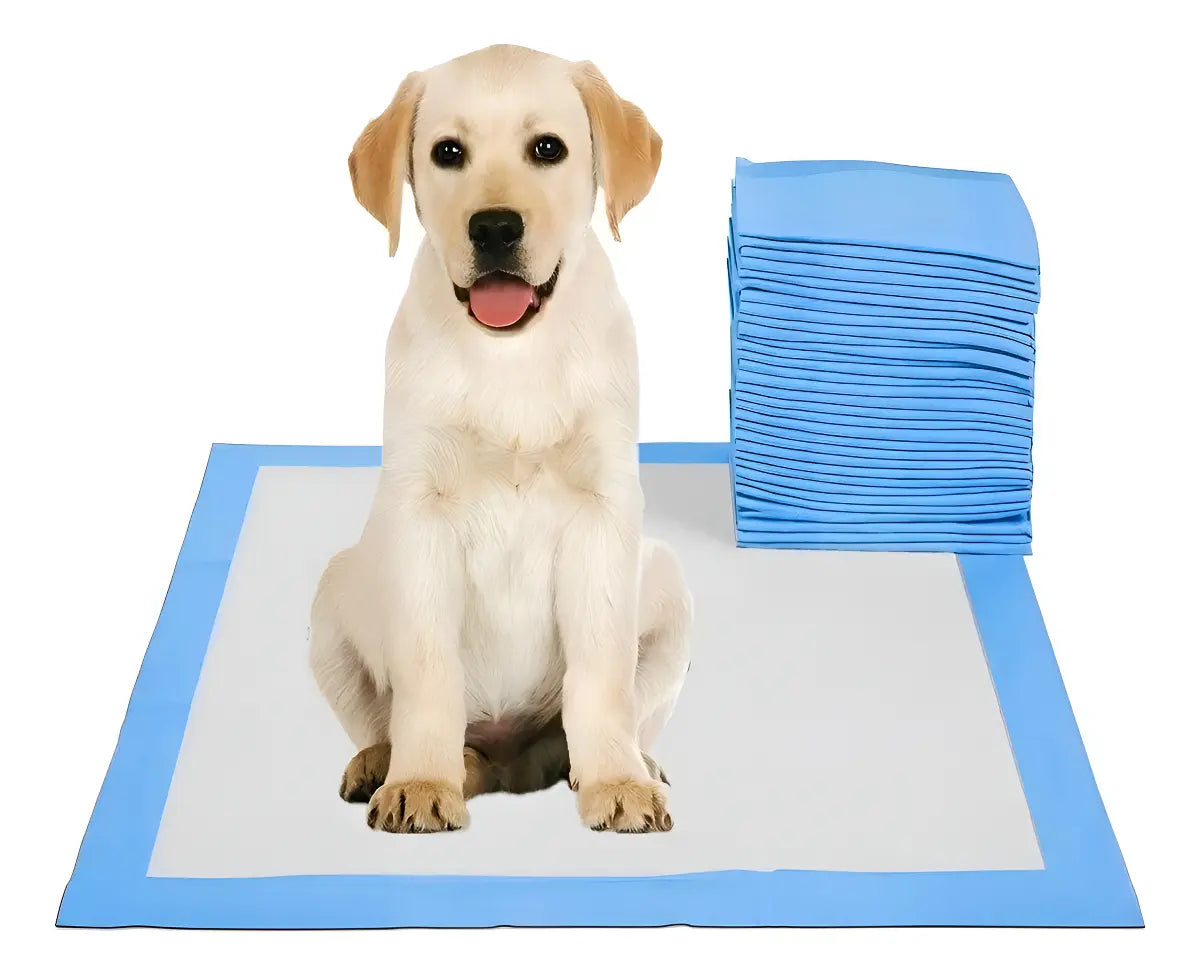 PAÑALES SMART CARE BLANCA 45x33CM X 20 UNIDADES